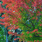 test_user